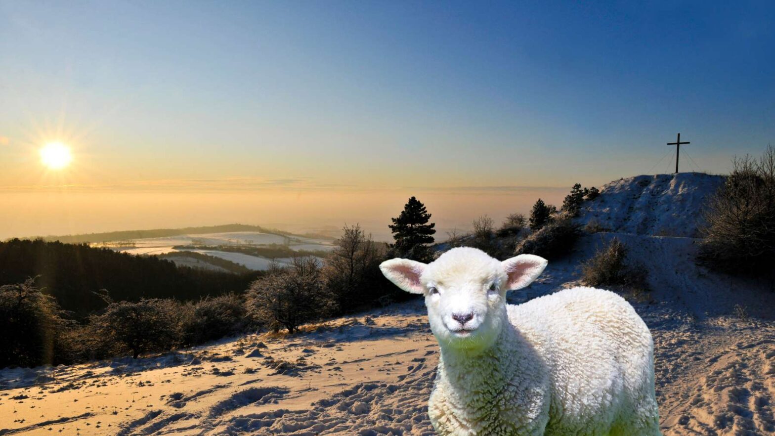 Bildung und Natur verbinden im Naturpark Leiser Berge