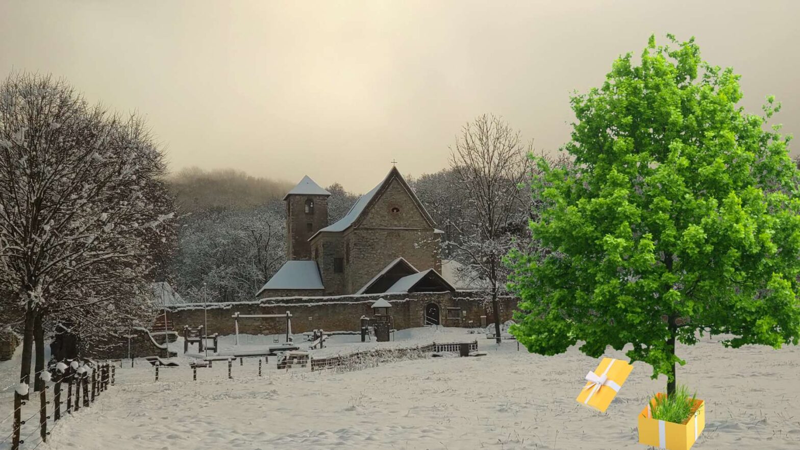 Bäume pflanzen im Naturpark Wüste Mannersdorf