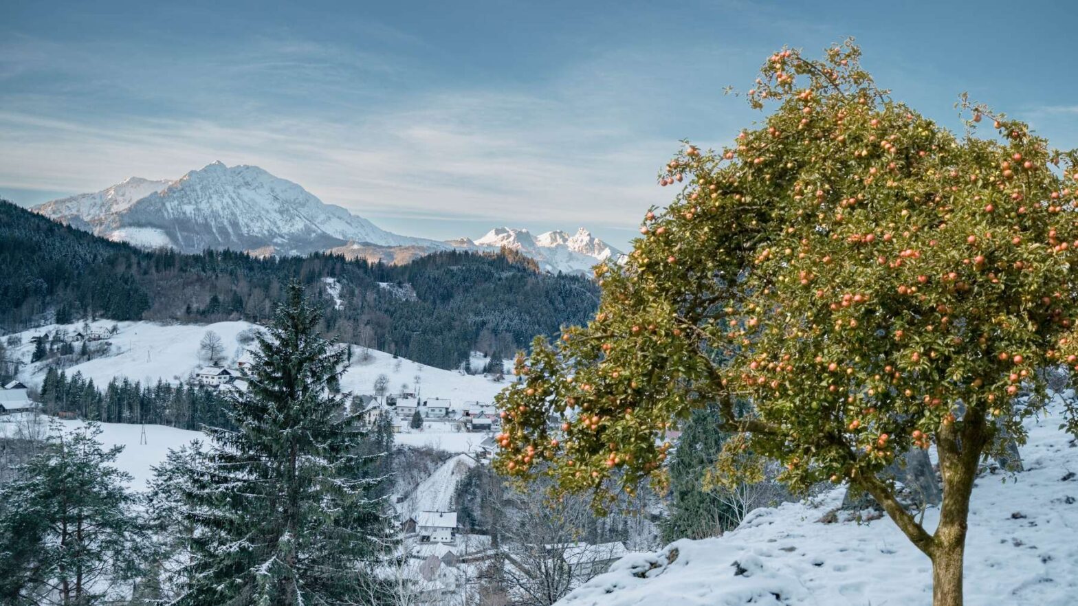 Streuobstwiesen in den Steirischen Eisenwurzen