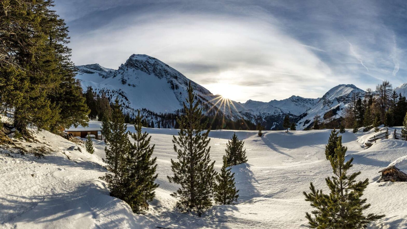 Lebensbäume erhalten im Naturpark Zillertaler Alpen