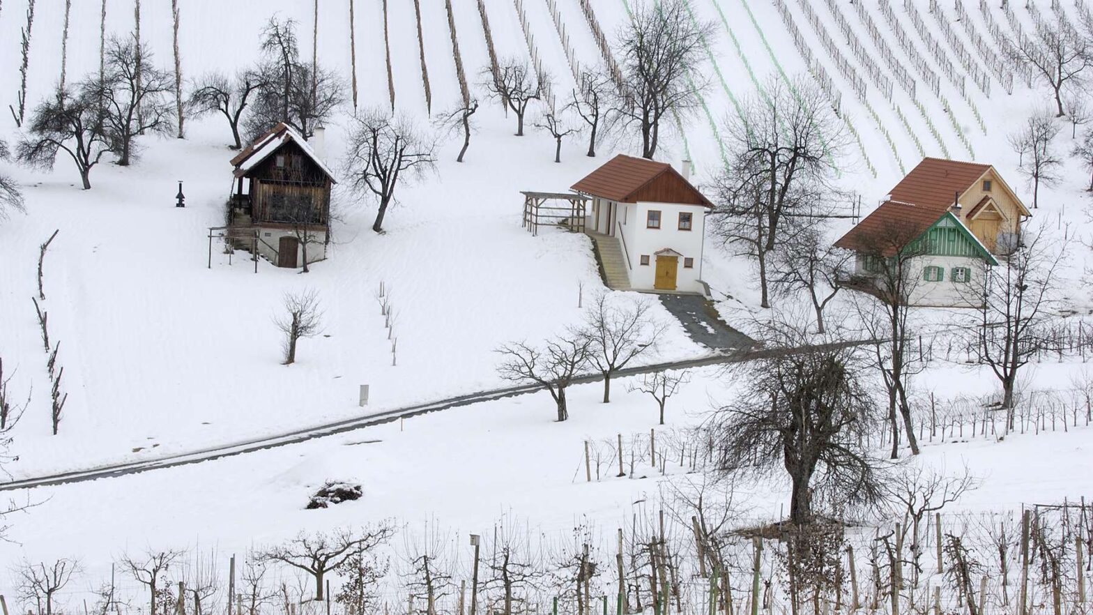 Fledermäuse und Vögel im Naturpark Weinidylle schützen