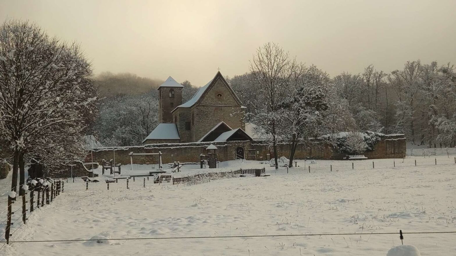 Bäume pflanzen im Naturpark Wüste Mannersdorf
