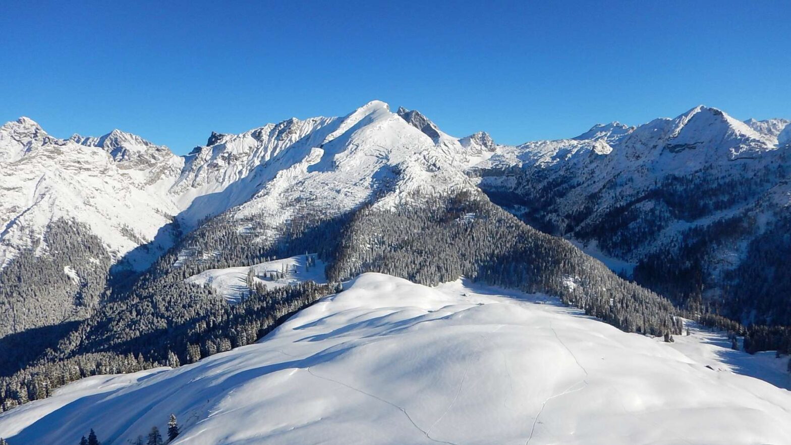 Schmetterlinge retten im Naturpark Weißbach